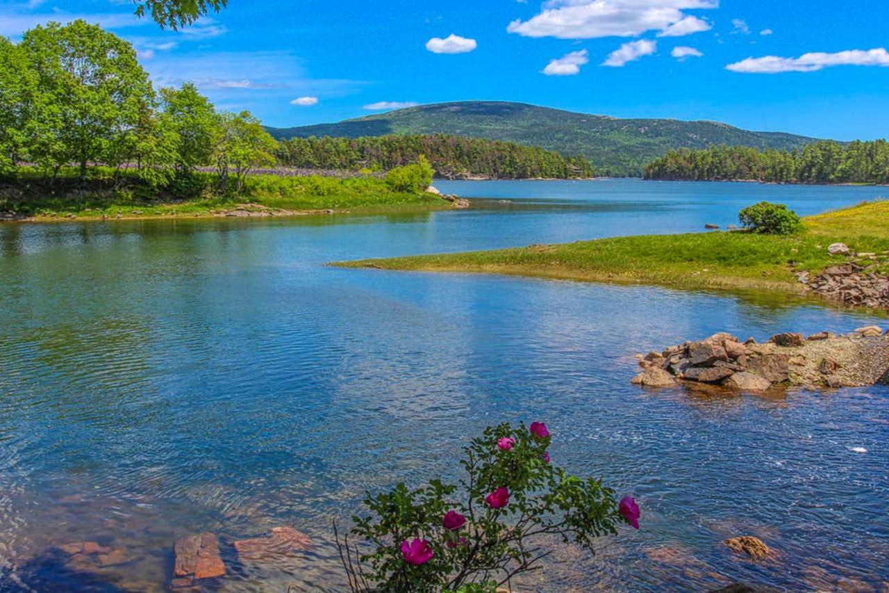 Pond Hill *